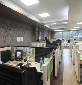 Professional foreign-language translation service